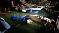 V piranskem mandraču se je zaradi neurja pretekli teden 
potopilo nekaj plovil. Oškodovancem so na pomoč  priskočili 
gasilci.