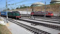 Slovenske železnice očitno čaka reorganizacija, prestrukturiranje in zmanjšanje zaposlenih. 