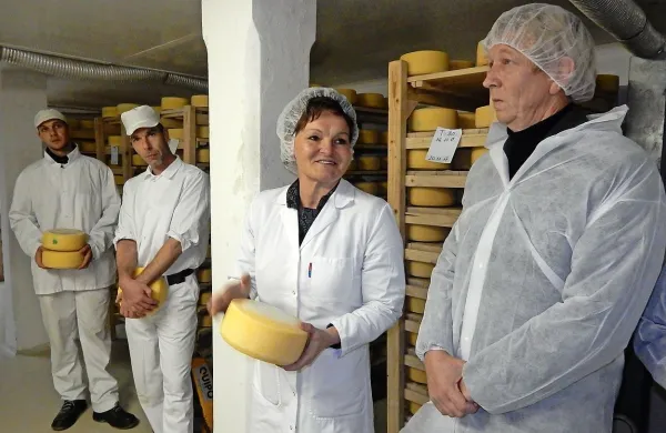 Marko Majer in Anka Lipušček Miklavič (z desne) v sušilnici  
sira Tolminca. 