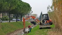 Delavci koprske  Marjetice so očistili strugo in brežine Olmskega potoka.