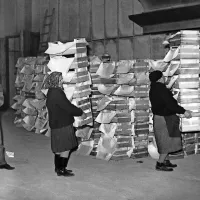 Terminal za južno sadje s posebnimi skladišči so zgradili leta 
1961 in si tako ustvarili pomembno tržno nišo. 