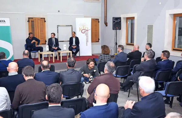 Veselin Vujović: “Šef pogosto nima prav, ampak je šef”