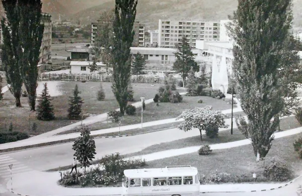 Ob križišču Erjavčeve in Delpinove  ulice je dolgo bil travnik, 
danes tam stoji Eda center. 