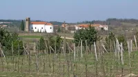  Slovenija želi postati vodilna evropska država v razvoju 
kakovosti življenja in dela na podeželju.