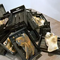 Prostorska postavitev Tihožitje bo v galeriji Meduza na ogled 
do 15. januarja.