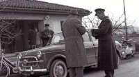 Carinik preverja dokumente osebe na mejnem prehodu 
Solkan.
