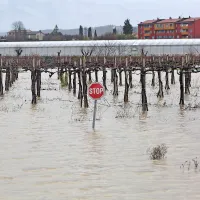 Poplavljalo hiše, sprožili so se plazovi (foto+video)