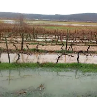 Poplavljalo hiše, sprožili so se plazovi (foto+video)