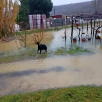 Poplavljalo hiše, sprožili so se plazovi (foto+video)