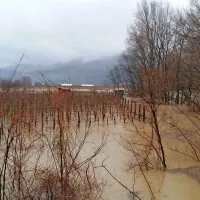 Poplavljena polja v Prvačini