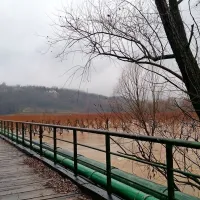 Narasla reka Vipava v Prvačini