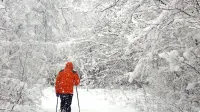 V beli idili sta se Tržačana na poti proti Slavniku izgubila (fotografija je simbolična).