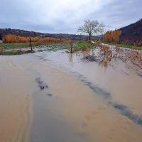 Voda je zapustila kanal - strugo rečice Roja  in se razlila po 
dostopni cesti v spodnjem delu Strunjanske doline ...