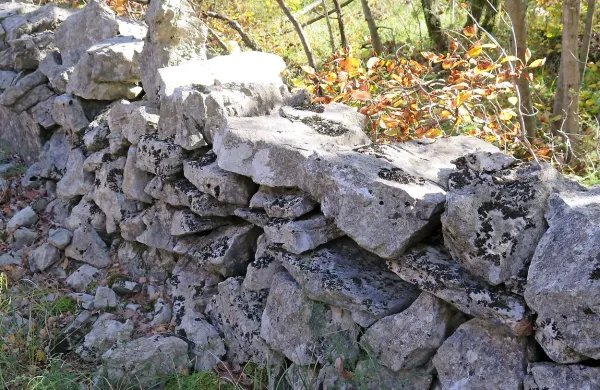 Sežanska občina v proračunu namenja 40.000 evrov za 
pomoč pri obnovi suhih zidov.