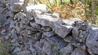 Sežanska občina v proračunu namenja 40.000 evrov za 
pomoč pri obnovi suhih zidov.