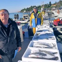 Ulov dober, izkupiček slab (foto)