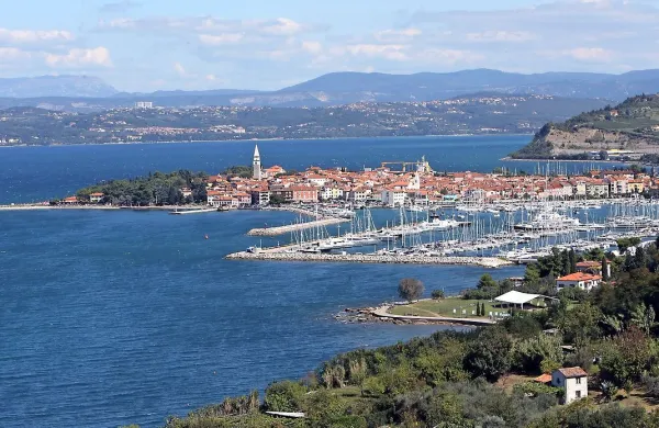 Za milijon višja poraba leta 2018