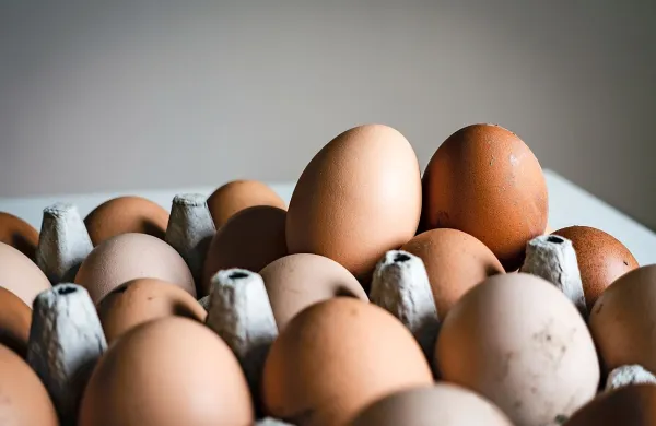 Uprava za varno hrano: V slovenskih jajcih ni več fipronila