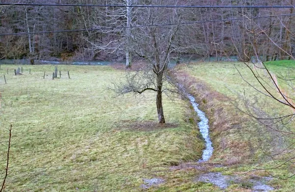 Kjer lastniki zemljišč sami skrbijo za osuševalne sisteme, so 
jarki vzdrževani, večina pa je zasutih in zaraščenih. 