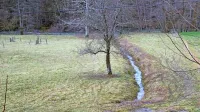Kjer lastniki zemljišč sami skrbijo za osuševalne sisteme, so 
jarki vzdrževani, večina pa je zasutih in zaraščenih. 