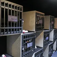 Sežanska vinska banka se je začela polniti že pred današnjo 
otvoritvijo. V njej lahko posamezniki, podjetja, občine, ustanove in drugi  shranjujejo vina, ki imajo posebno vrednost.  
