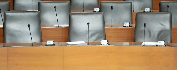 “Trojni medmet bla bla bla je posnet po gostem besedičenju, po praznih frazah, ko slišimo vse 
glasove in besede, ne prebijemo se pa do njihovega smisla. V našem parlamentu je dosti takega 
blajanja in  lajanja.”