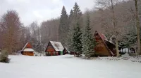 Mnoge od stotnije počitniških hišic so večino leta prazne in 
vsaj nekatere bi lastniki lahko oddajali v turistične namene, 
menijo v zadrugi Sviščaki.