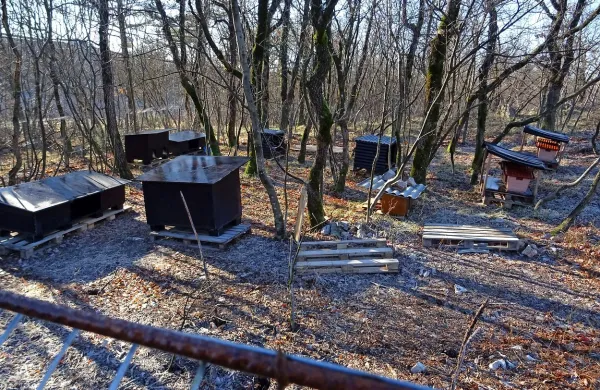 V gozdičku na obrobju Sežane so mačkam postavili lične 
utice, ki pa so prazne. 