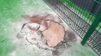 Ko so vandali zažgali enega od zabojnikov za smeti, so se 
plameni razširili še na tartan in ga stopili. 