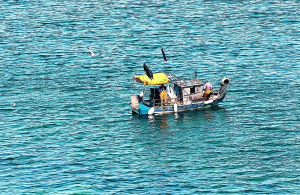 

 Kot kaže, imajo ribiči za zdaj “mirno morje”, saj v območje 
spora v tem delu leta  manj zahajajo.