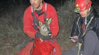 Preživelo srno so iz jame rešili Samo Milanič in Zdenka Žitko 
(na fotografiji) ter Edo Gregorčič. Zasluga za to pa gre 
Ludviku Husuju, ki je opazil v jami ujeto srno in poklical 
reševalce.