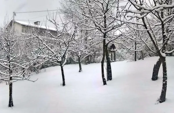  Obilna snežna pošiljka je pobelila dobršen del Slovenije.