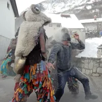 Sneg in veter nista ukrotila ravenskega pusta
