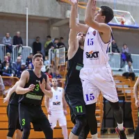 Trojkaš Pelko pokopal tigre