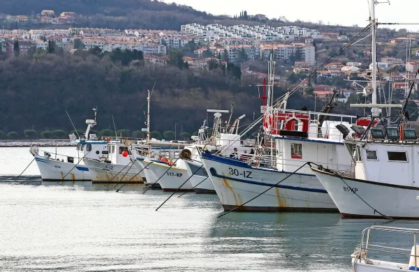 Pritožbe ribičev na sodišču