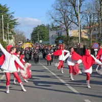 “Živijo pust” na Opčinah