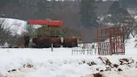 Krave so ostale brez gospodarja.