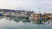 Istrski ribiči so bili z delom Snežane Levstik zadovoljni, zato si želijo, da bi jo nadomestil nekdo, ki se 
bo prav tako dobro spoznal na ribištvo.