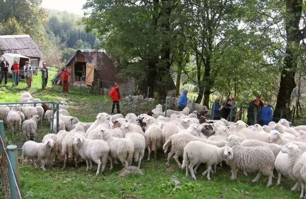 Planino Kuhinja bodo jeseni priključili na električno omrežje.