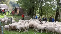 Planino Kuhinja bodo jeseni priključili na električno omrežje.