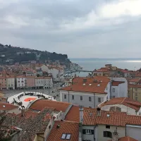 Ogromno srce na sredini Tartinijevega trga je danes krasila pisana 
valentinova tržnica.