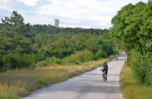        Turisti vse bolj iščejo zelene kotičke in v občini jih je veliko. Najbolj 
so obiskane zgodovinske poti miru na čelu s pomnikom  braniteljem slovenske zemlje na Cerju.     