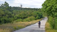        Turisti vse bolj iščejo zelene kotičke in v občini jih je veliko. Najbolj 
so obiskane zgodovinske poti miru na čelu s pomnikom  braniteljem slovenske zemlje na Cerju.     