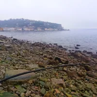Cev, ki je speljana v morje, je razgalila oseka.  