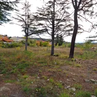 Tako zapuščeno sameva in čaka na morebitne vlagatelje območje 
nekdanje tovarne TKG v Šmarjah.