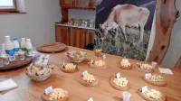 V mlekarni delajo različne sire z dodatki, med njimi tudi Dobro 
misel z divjim origanom. 
