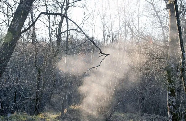 Tako se je ta teden “kadilo” iz  Brezna treh generacij v Divači, ko se je topel zrak dvigal iz jame.   