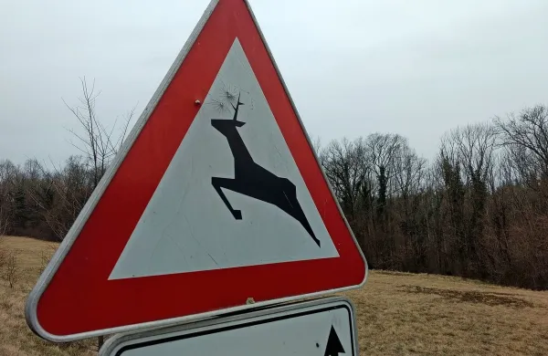 Po koprski sodbi mnogi napovedujejo, da se bo proti državi usul 
plaz odškodninskih tožb posameznikov ali celo zavarovalnic.