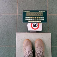 Dijaki so se seznanili z naletno težo neprivezane osebe, težke  55 
kilogramov, pri hitrosti 50 kilometrov na uro.