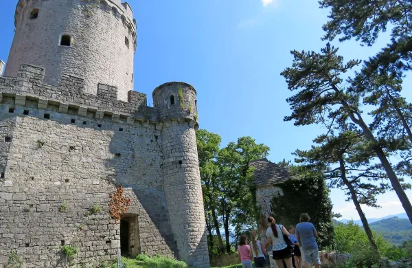   Ne manjka idej, kaj ponujati v lepo ohranjeni graščini ne meji med 
Krasom in Vipavsko dolino. Se bodo našli tudi izvajalci?    
